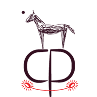 Claudia Pollack REAL VIBE ART